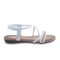 CHLOE  P1081-3