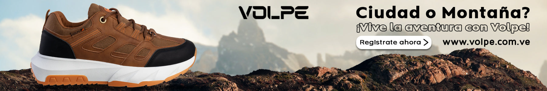 Banner_VK_Volpe_2_copy.jpg